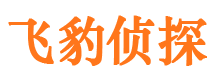 雁江市侦探公司